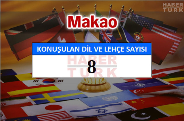 Hangi ülkede kaç dil ve lehçe konuşuluyor? - 596