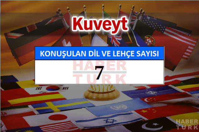 Hangi ülkede kaç dil ve lehçe konuşuluyor? - 904