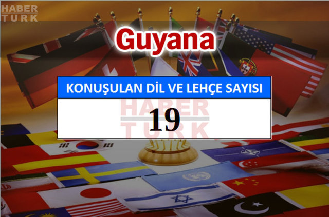 Hangi ülkede kaç dil ve lehçe konuşuluyor? - 899