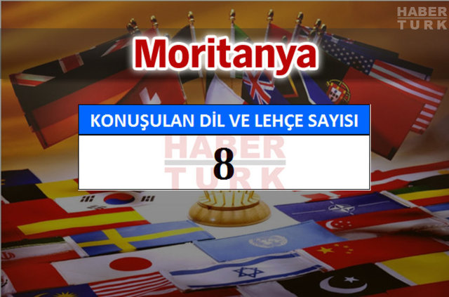 Hangi ülkede kaç dil ve lehçe konuşuluyor? - 627