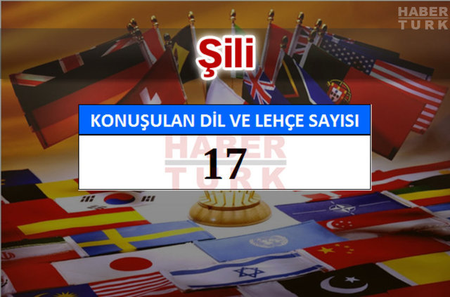 Hangi ülkede kaç dil ve lehçe konuşuluyor? - 917