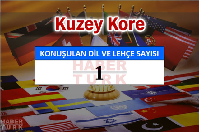 Hangi ülkede kaç dil ve lehçe konuşuluyor? - 617