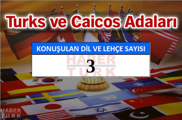 Hangi ülkede kaç dil ve lehçe konuşuluyor? - 601