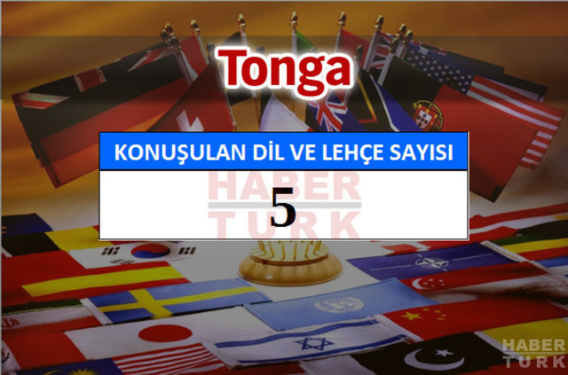 Hangi ülkede kaç dil ve lehçe konuşuluyor? - 694