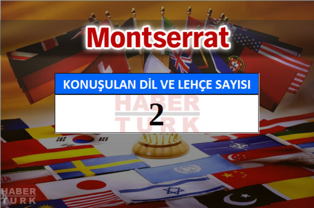 Hangi ülkede kaç dil ve lehçe konuşuluyor? - 711