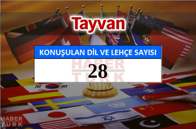 Hangi ülkede kaç dil ve lehçe konuşuluyor? - 700