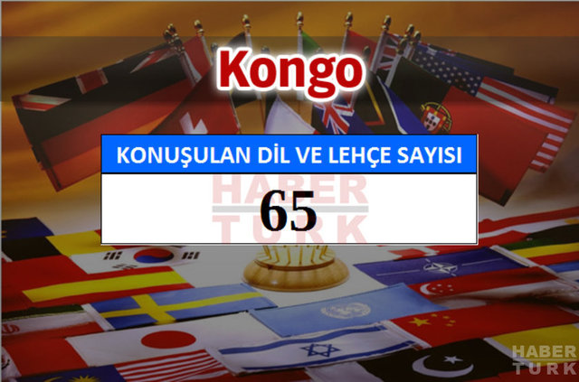 Hangi ülkede kaç dil ve lehçe konuşuluyor? - 913