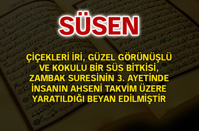 En çok kullanılan isimler ve anlamları - 904