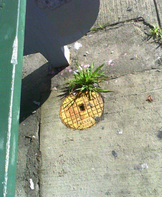 Sokakların sanatla buluşması - 61