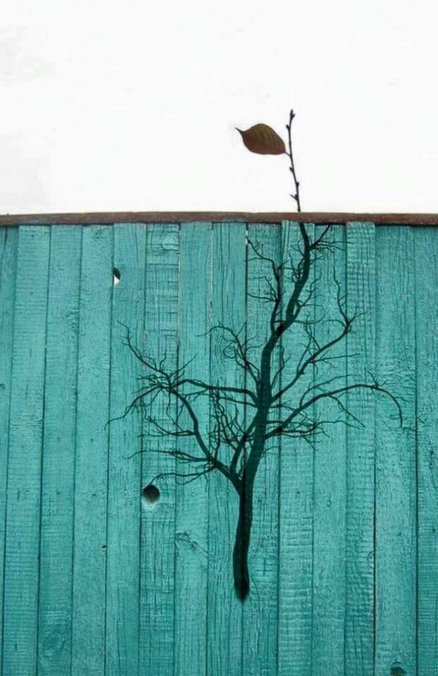 Sokakların sanatla buluşması - 59