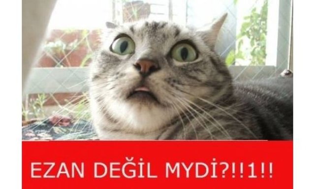 Ramazan ayı caps'leri - 833