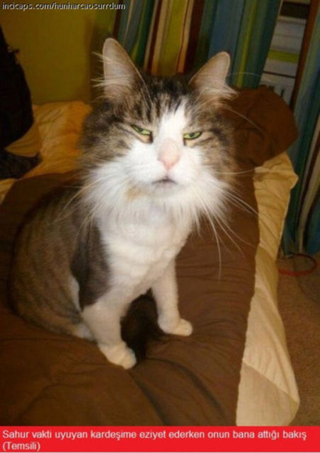 Ramazan ayı caps'leri - 932