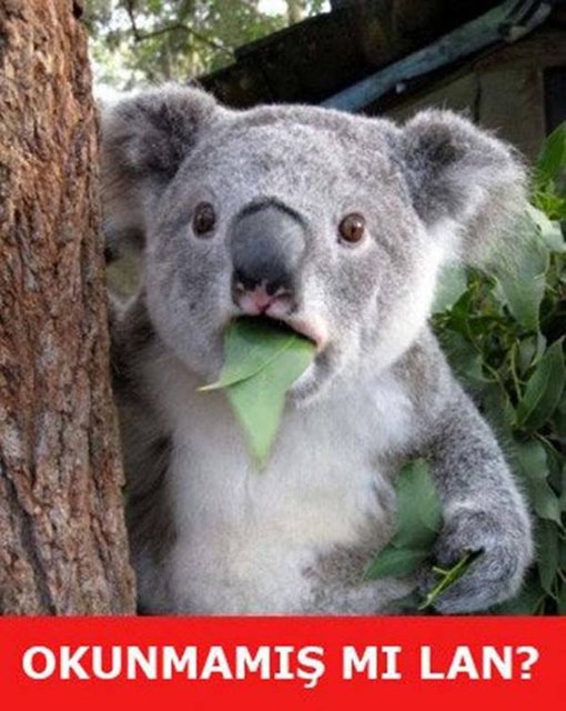 Ramazan ayı caps'leri - 748