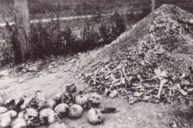 Almanya'nın soykırım geçmişi - 17