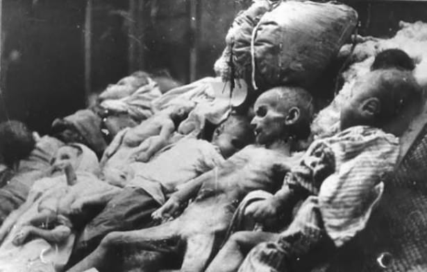 Almanya'nın soykırım geçmişi - 9