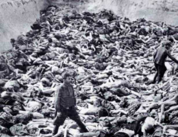 Almanya'nın soykırım geçmişi - 29