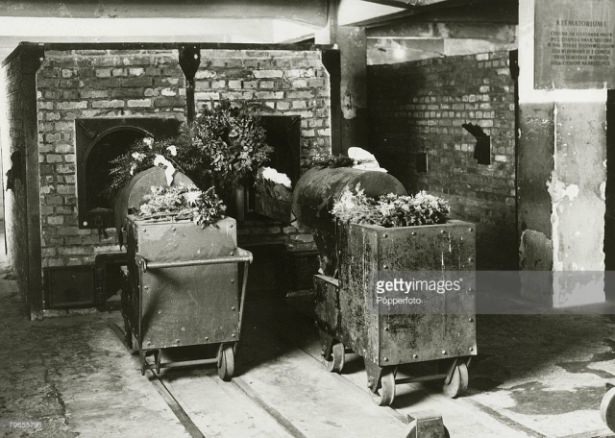 Almanya'nın soykırım geçmişi - 19