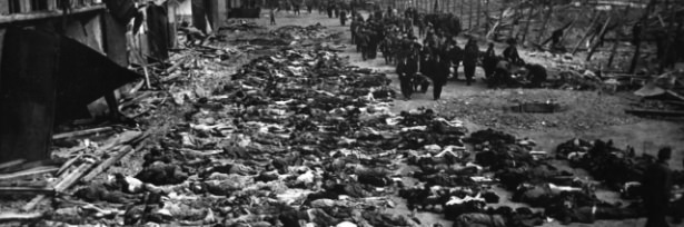 Almanya'nın soykırım geçmişi - 32