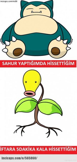 Ramazan capsleri görücüye çıktı - 19