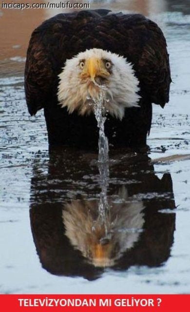 Ramazan capsleri görücüye çıktı - 10