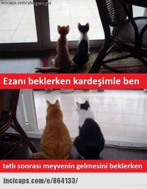 Ramazan capsleri görücüye çıktı - 1