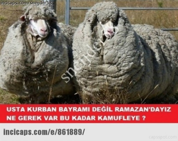 Ramazan capsleri görücüye çıktı - 4