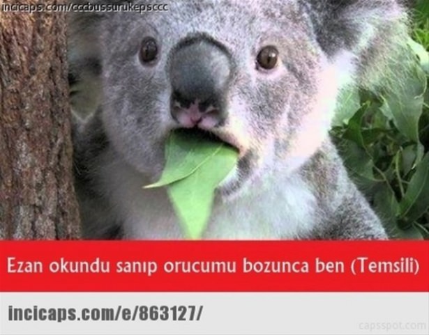 Ramazan capsleri görücüye çıktı - 18