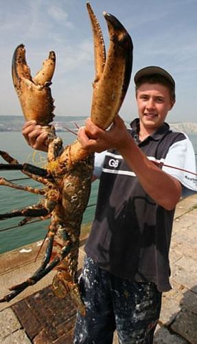 Az bilinen bilimsel gerçekler - 6