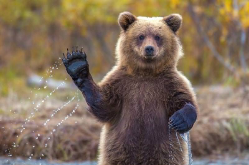 Az bilinen bilimsel gerçekler - 16