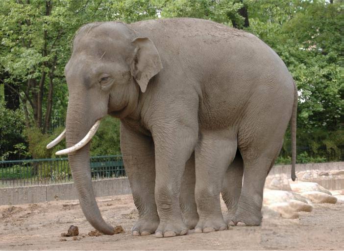 Az bilinen bilimsel gerçekler - 29