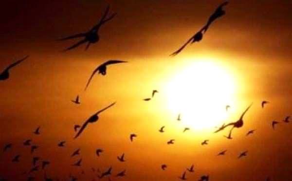 Az bilinen bilimsel gerçekler - 18