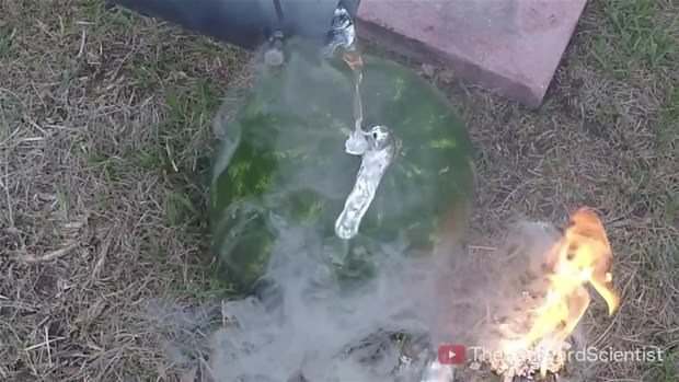 Karpuzun içine eritilmiş alüminyum dökülürse.. - 18