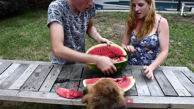 Karpuzun içine eritilmiş alüminyum dökülürse.. - 26