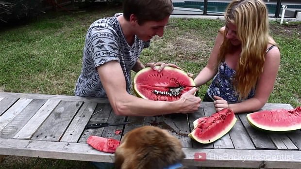 Karpuzun içine eritilmiş alüminyum dökülürse.. - 28