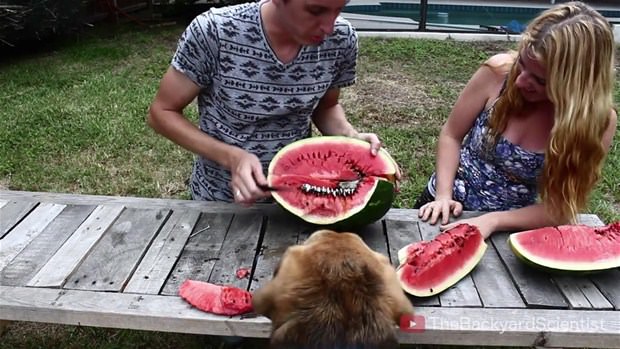 Karpuzun içine eritilmiş alüminyum dökülürse.. - 29