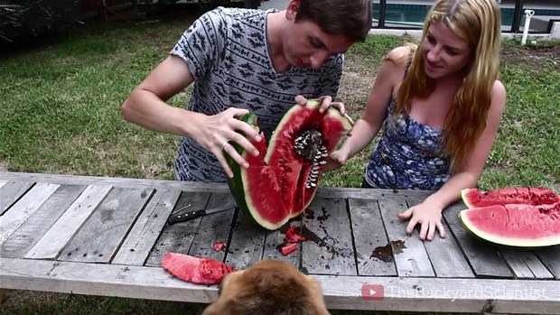 Karpuzun içine eritilmiş alüminyum dökülürse.. - 30