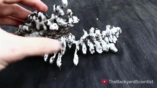 Karpuzun içine eritilmiş alüminyum dökülürse.. - 36