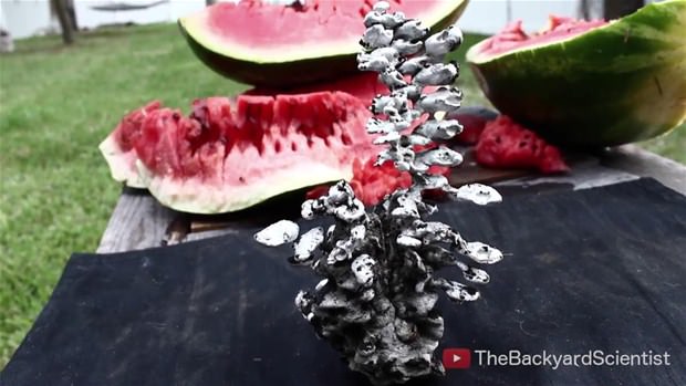 Karpuzun içine eritilmiş alüminyum dökülürse.. - 34