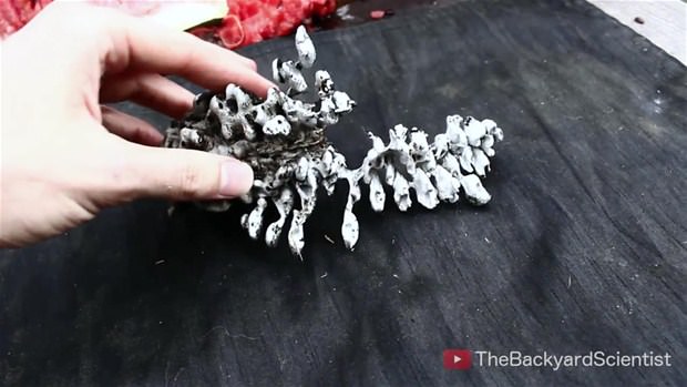 Karpuzun içine eritilmiş alüminyum dökülürse.. - 35