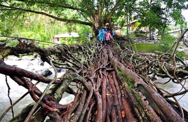 Dünyanın en etkileyici fotoğrafları - 9