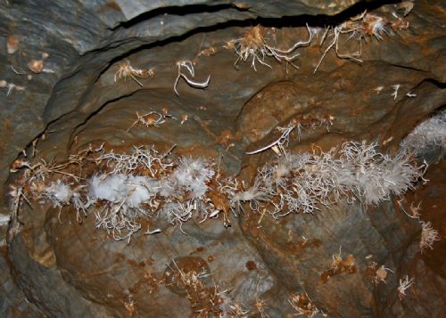 5,5 milyon yıllık mağara bulundu - 7