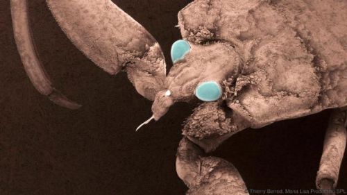 5,5 milyon yıllık mağara bulundu - 1