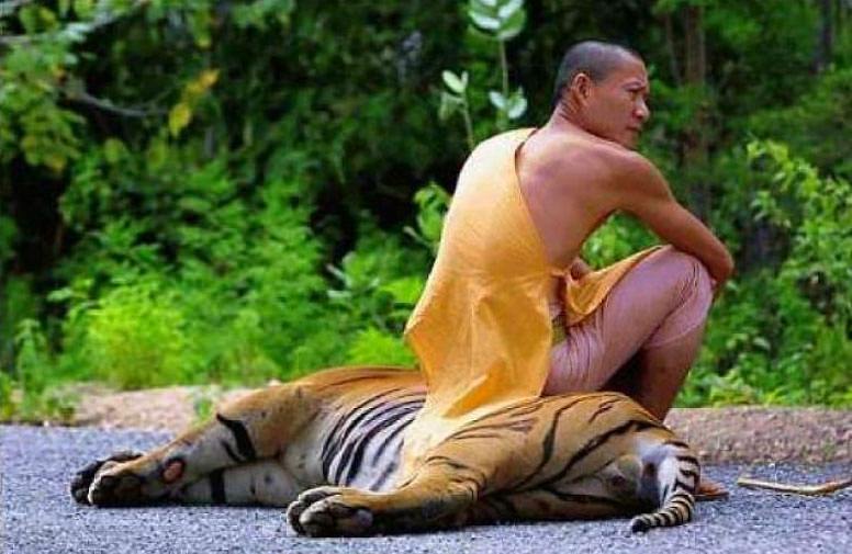 Dünyanın en rahat insanları - 8