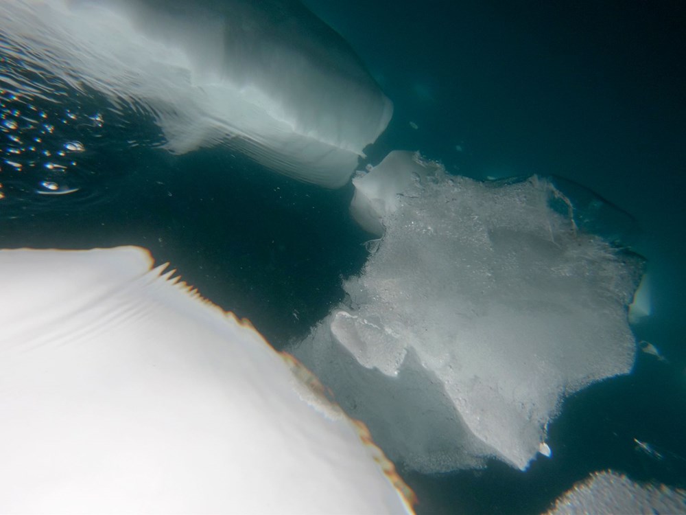 Arktik deniz buzu tarihinin en düşük ikinci seviyesine geriledi
