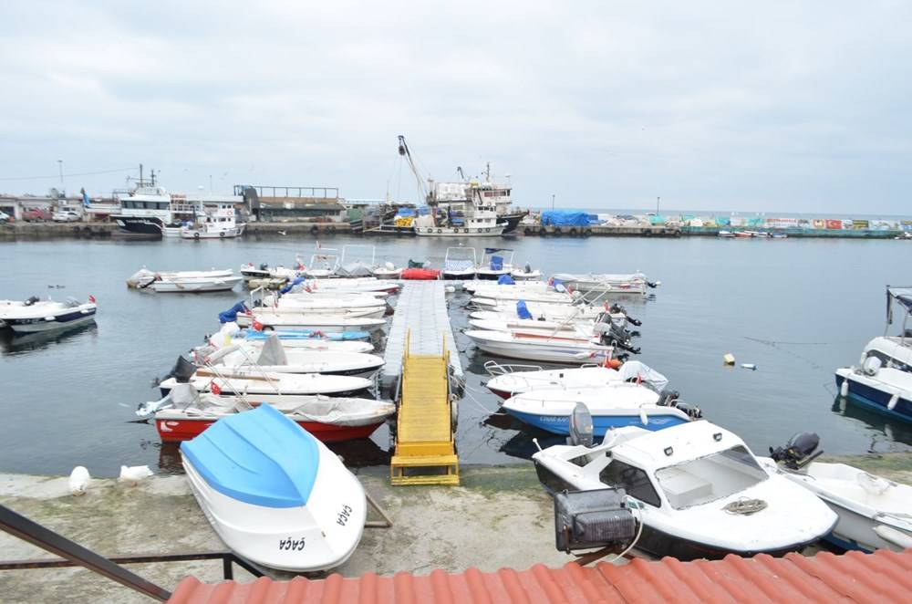 Marmara’da balıkçıların korkulu rüyası 10 yıl sonra geri döndü - 84273