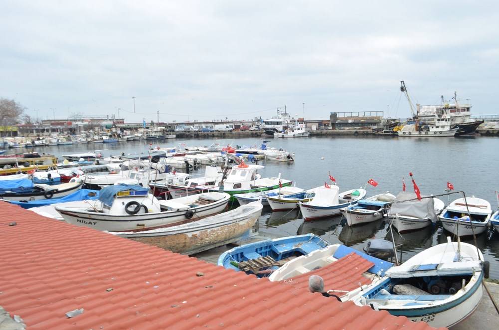 Marmara’da balıkçıların korkulu rüyası 10 yıl sonra geri döndü - 84275