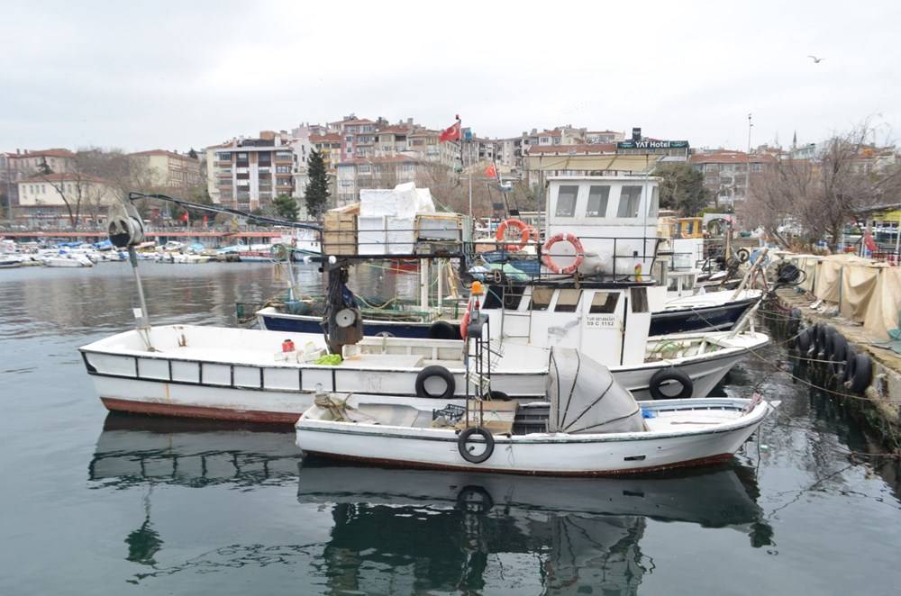 Marmara’da balıkçıların korkulu rüyası 10 yıl sonra geri döndü - 84278