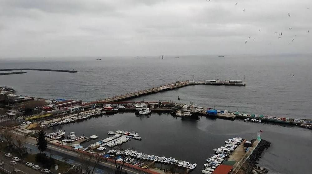 Marmara’da balıkçıların korkulu rüyası 10 yıl sonra geri döndü - 84284