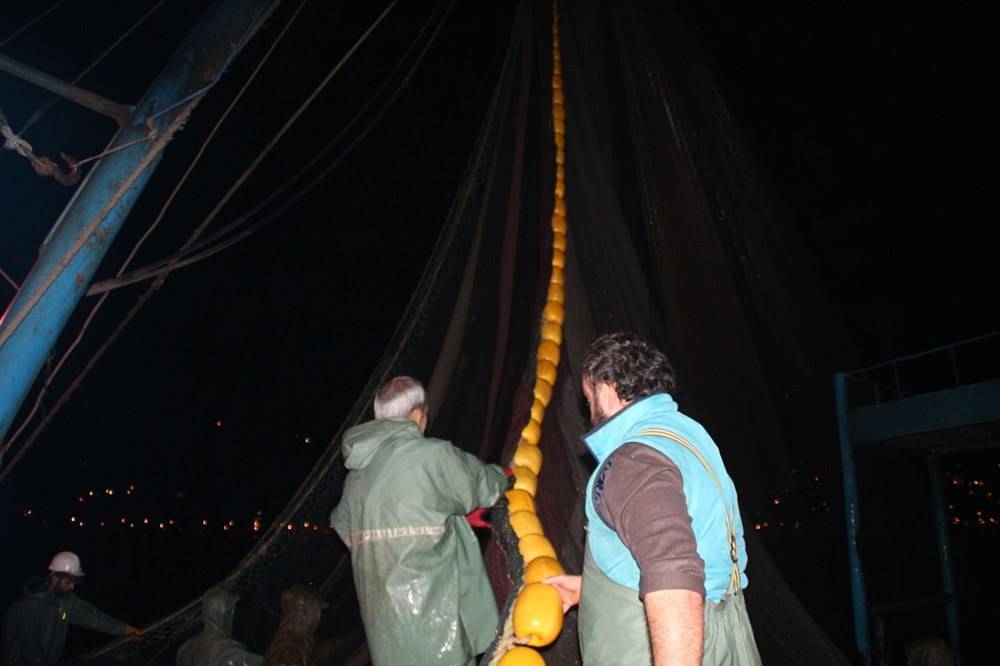 Hamsinin fiyatı, denizden tezgaha gelene kadar 3'e katlanıyor - 84289