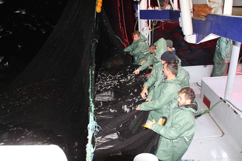 Hamsinin fiyatı, denizden tezgaha gelene kadar 3'e katlanıyor - 84291